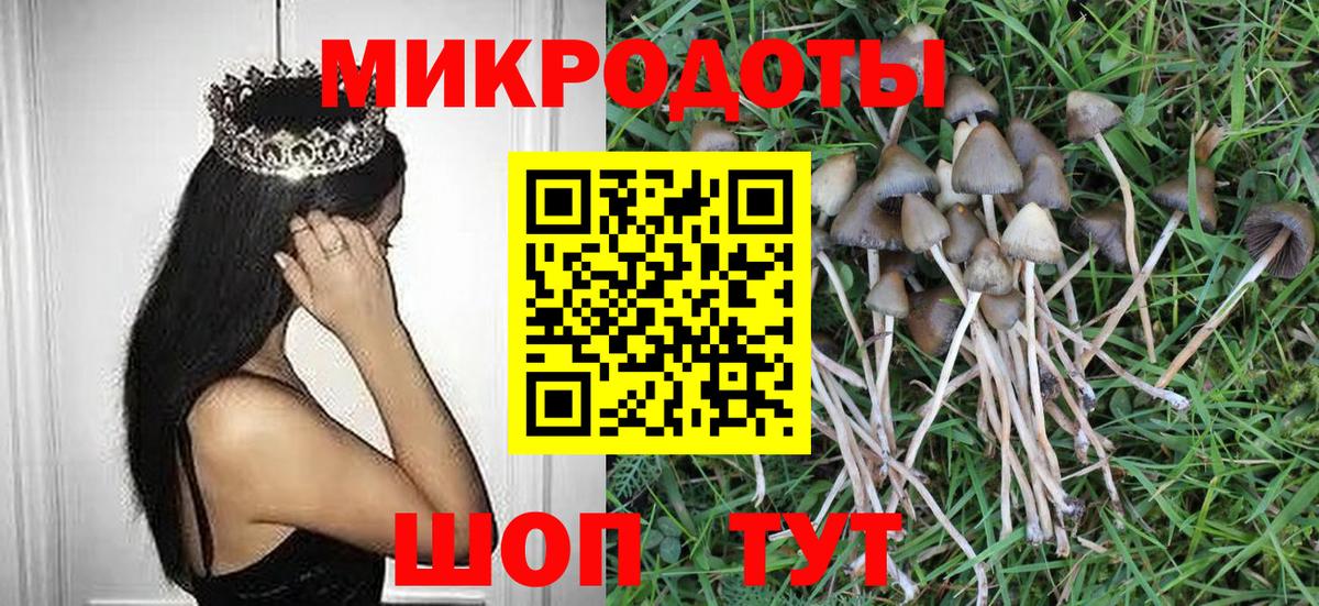 Псилоцибиновые грибы Cubensis Троицк